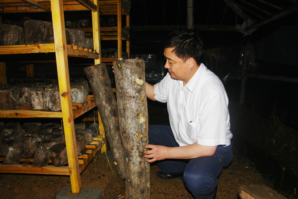 專(zhuān)題報(bào)道