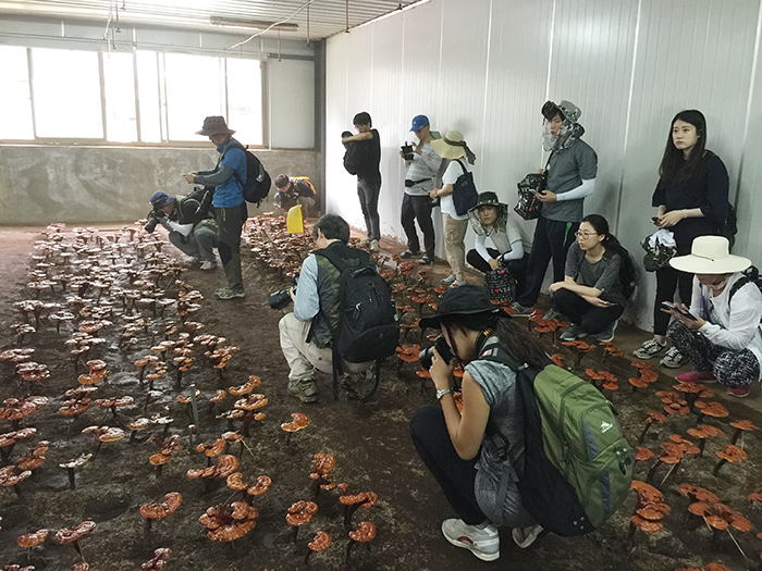 圖片關(guān)鍵詞 圖片關(guān)鍵詞