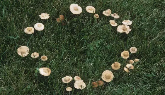 圖片關(guān)鍵詞 圖片關(guān)鍵詞