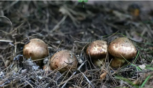 圖片關鍵詞 圖片關鍵詞