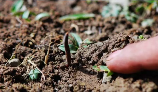 圖片關鍵詞 http://m.ls369.net/ewebeditor/uploadfile/20180814102741148001.png