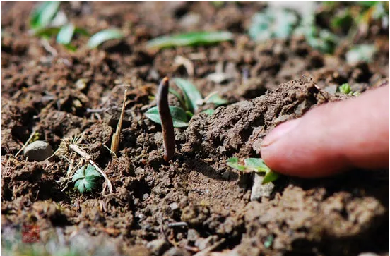 圖片關鍵詞 http://m.ls369.net/ewebeditor/uploadfile/20180921101313325001.png