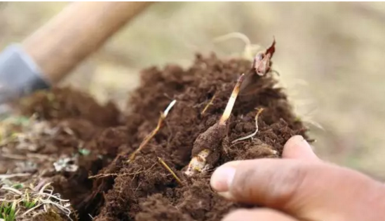 圖片關鍵詞 http://m.ls369.net/ewebeditor/uploadfile/20180921101228689001.png