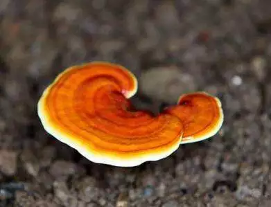 圖片關鍵詞 圖片關鍵詞