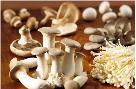 圖片關鍵詞 圖片關鍵詞