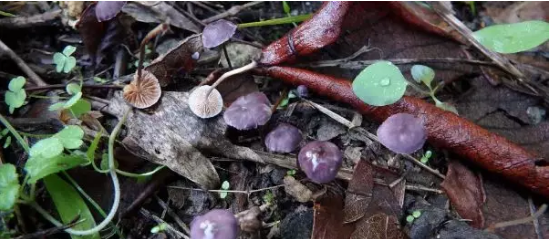 圖片關鍵詞 圖片關鍵詞