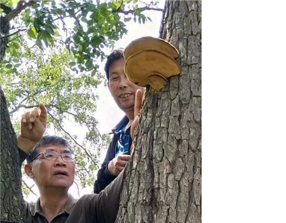 圖片關鍵詞 圖片關鍵詞