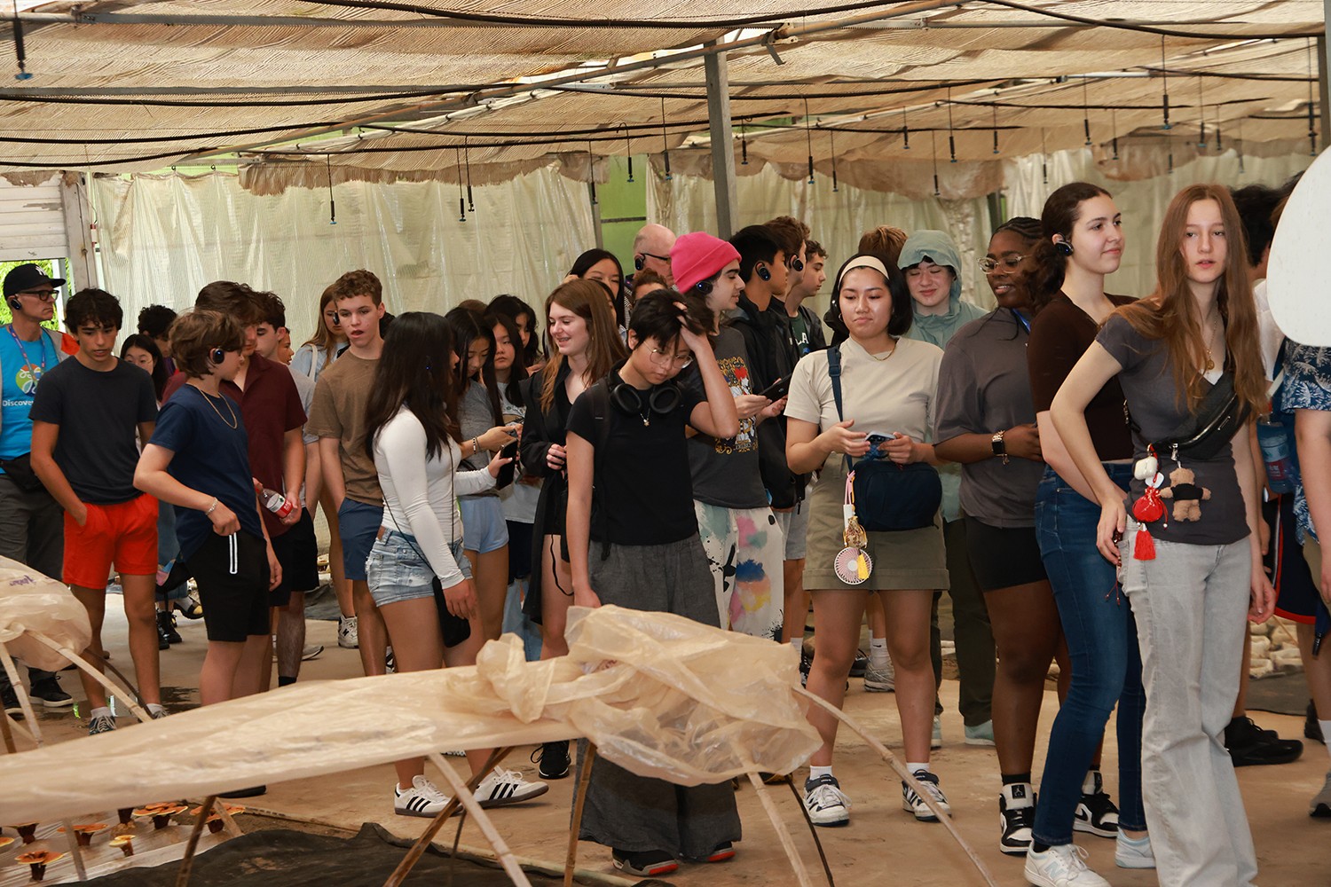 圖片關鍵詞 圖片關鍵詞