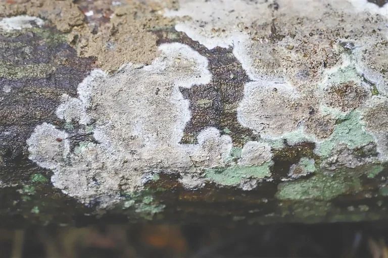 圖片關鍵詞 圖片關鍵詞